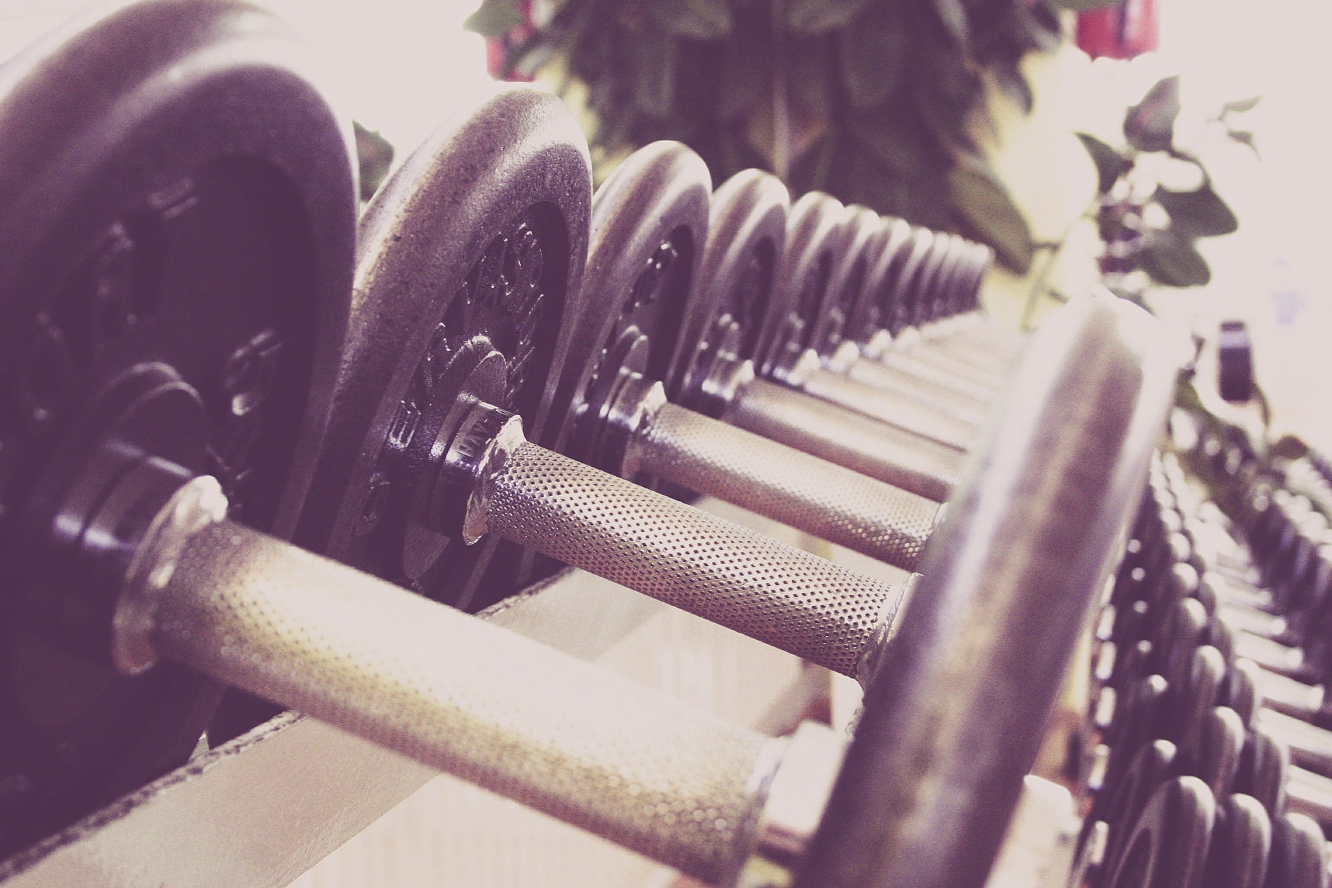 Personal Training